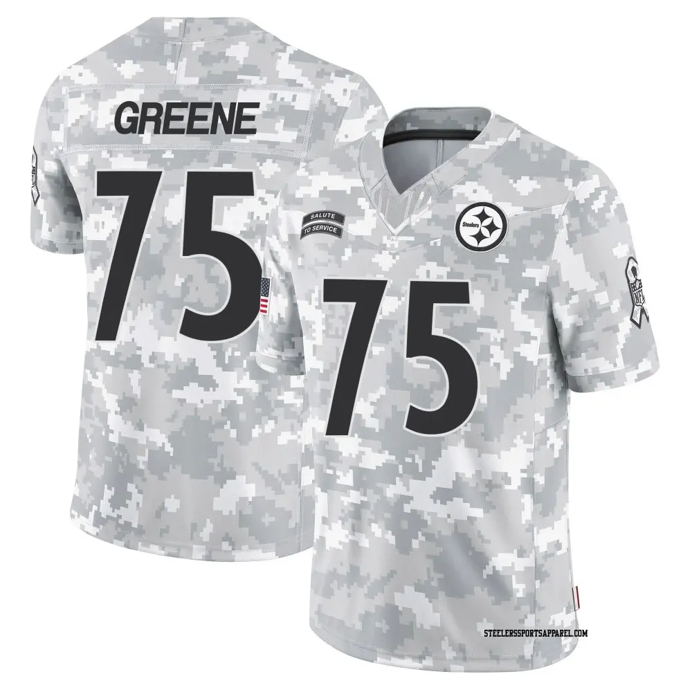 Limited Arctic Camo Men's Joe Greene Pittsburgh Steelers 2024 Salute to Service Jersey